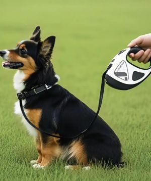 Dog on grass wearing a harness attached to the JAECOO retractable leash