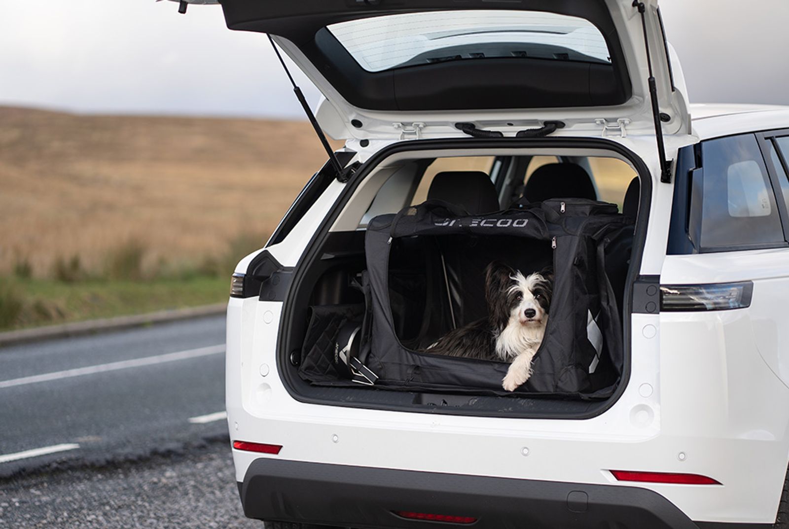 JAECOO 5 pet accessory