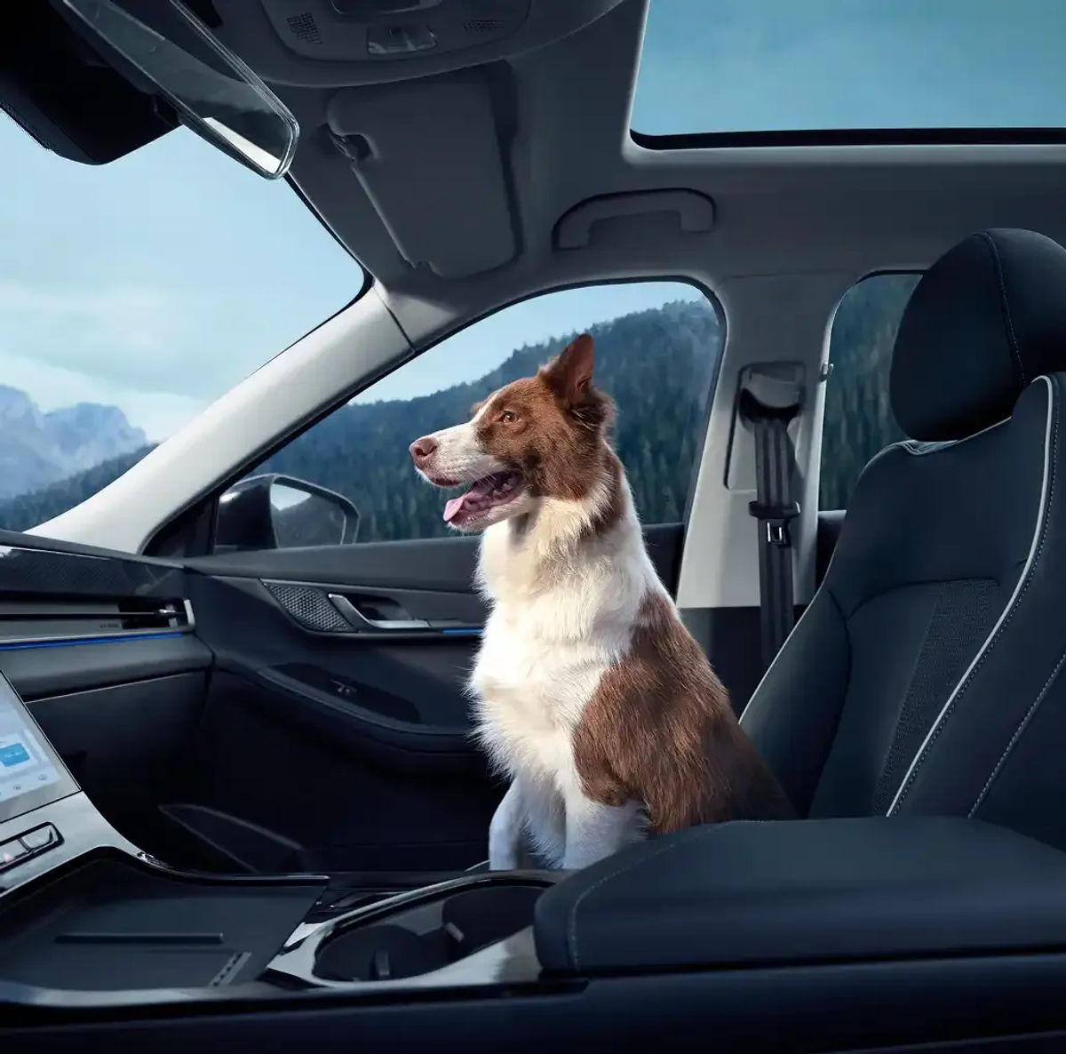 A dog looking out of a JAECOO 5 window