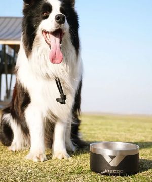 Dog outdoors beside a JAECOO branded pet bowl