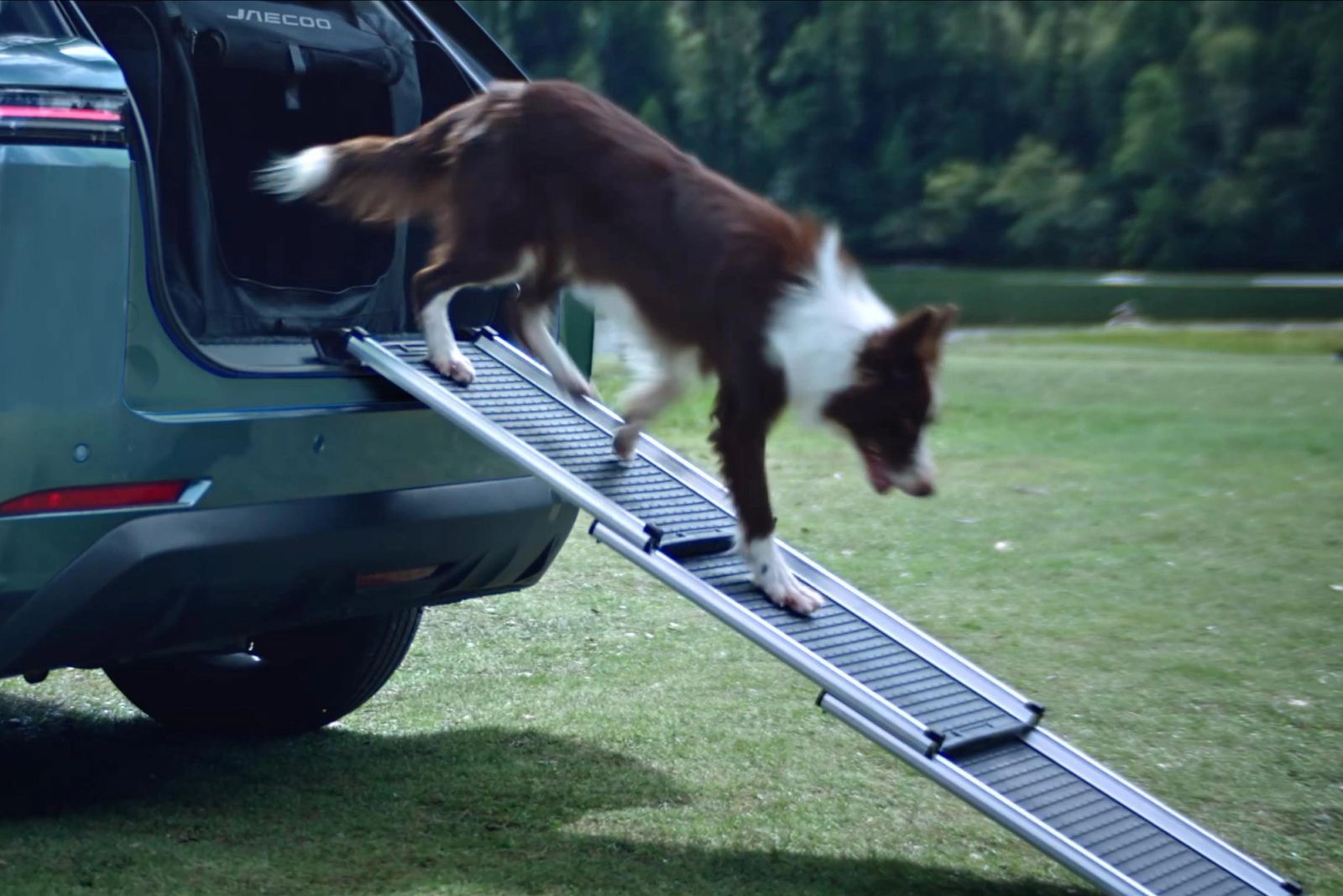 Dog in the boot of a JAECOO 5