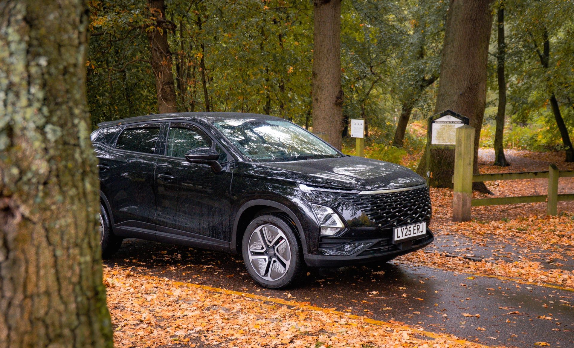 A black OMODA SUV parked on a leaf-covered forest track in autumn
