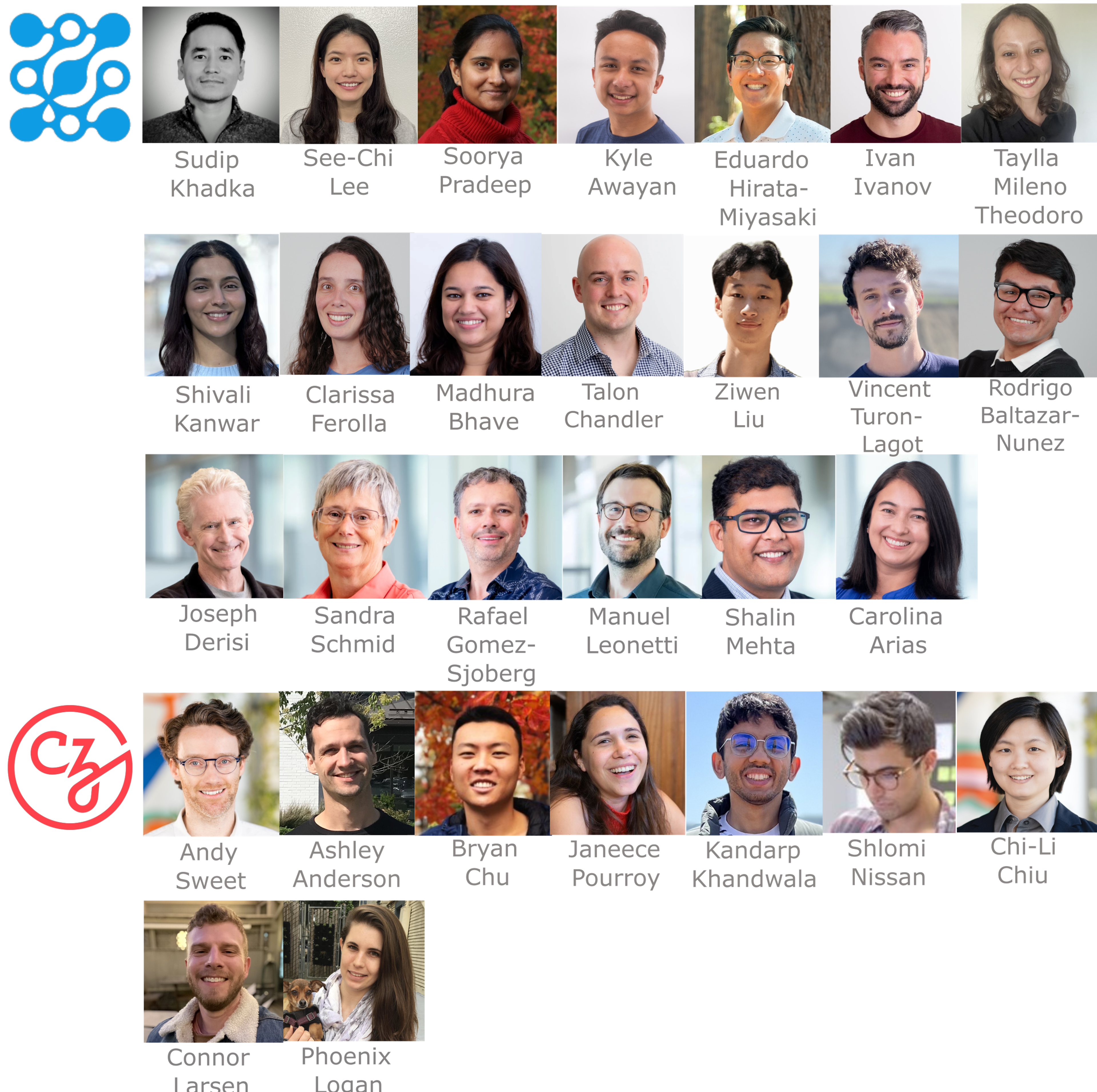 organelle box team