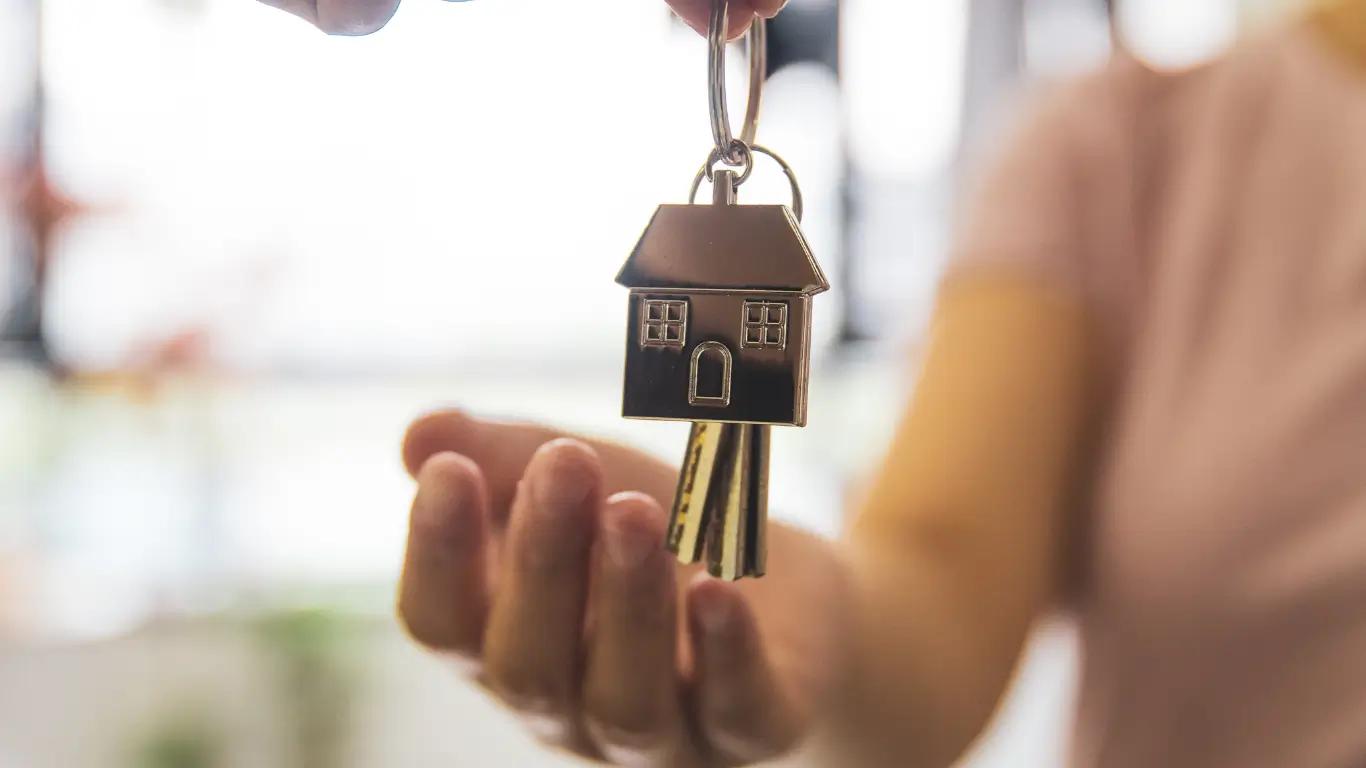 What is Airbnb Management Fees?