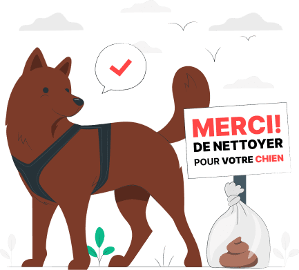 animaux assistance airbnb