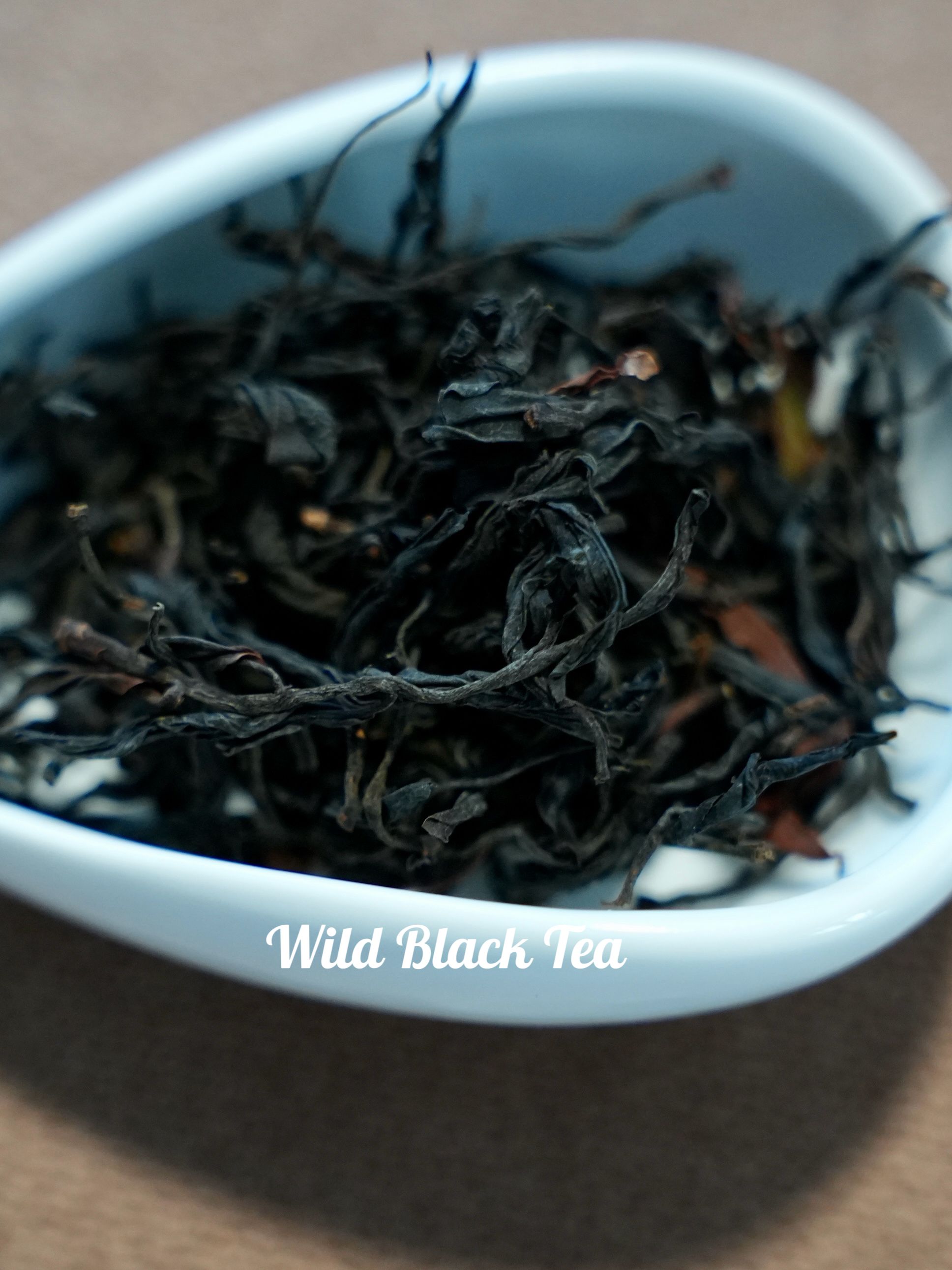 Wild Ancient Tree Black Tea