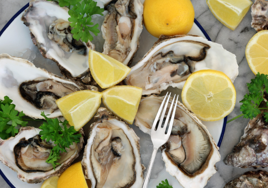 oysters