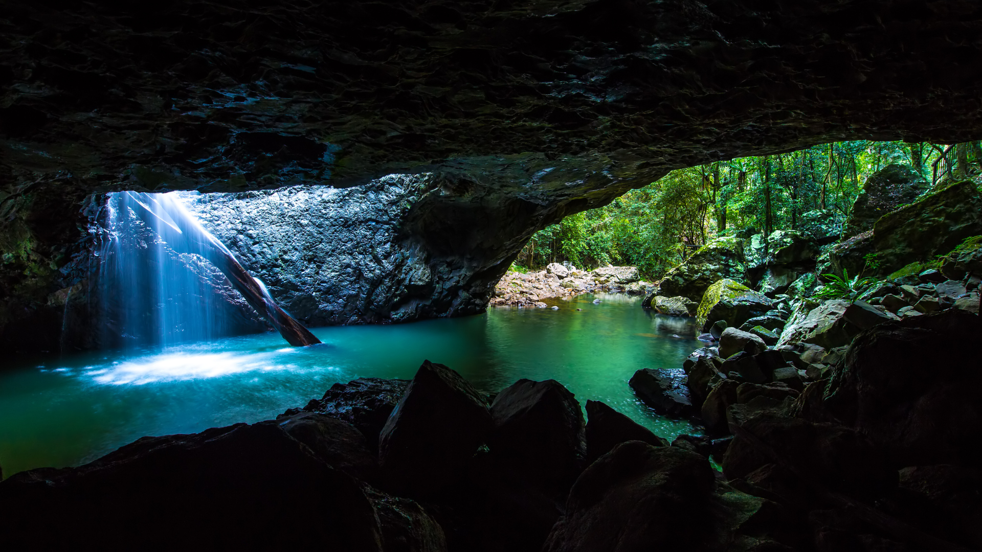 springbrook-national-park