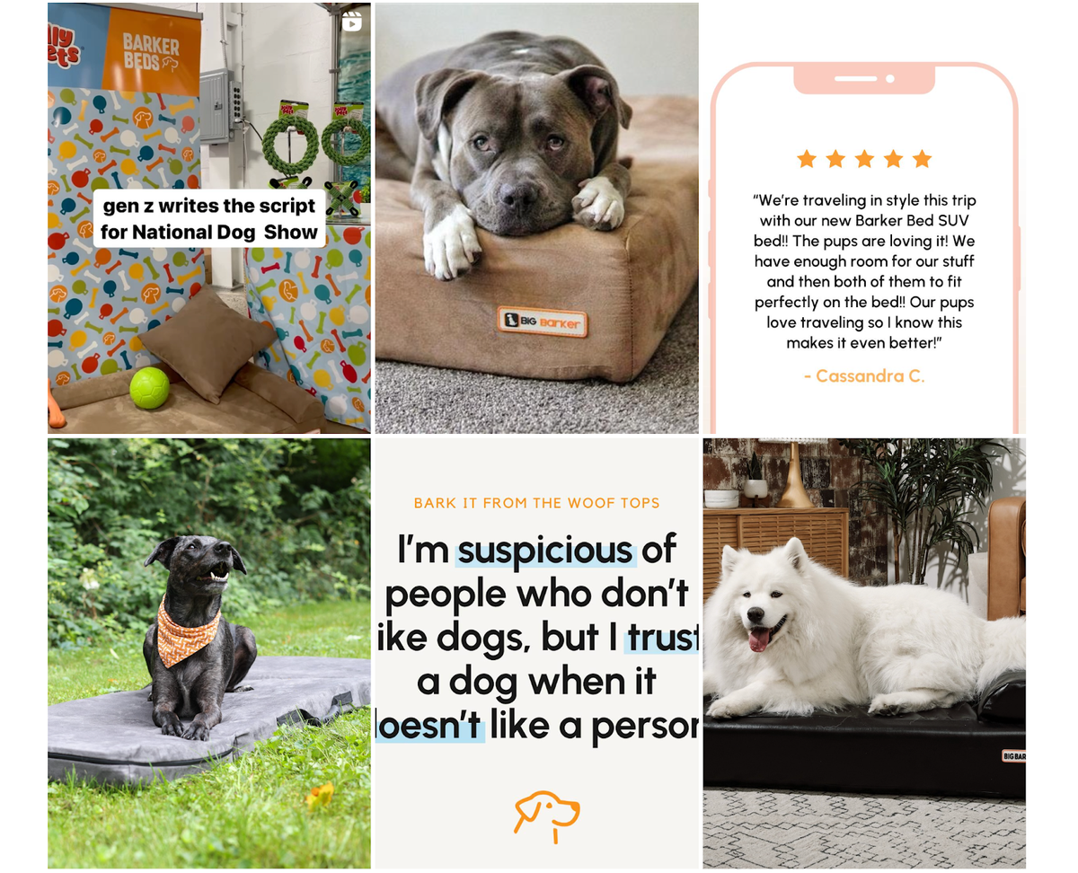 26. Barker Dog Beds - hero screenshot