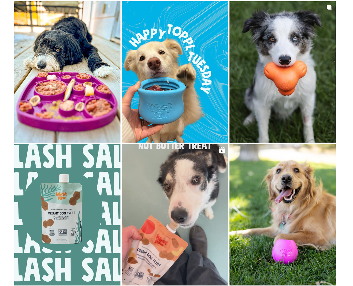 29. West Paw - hero screenshot