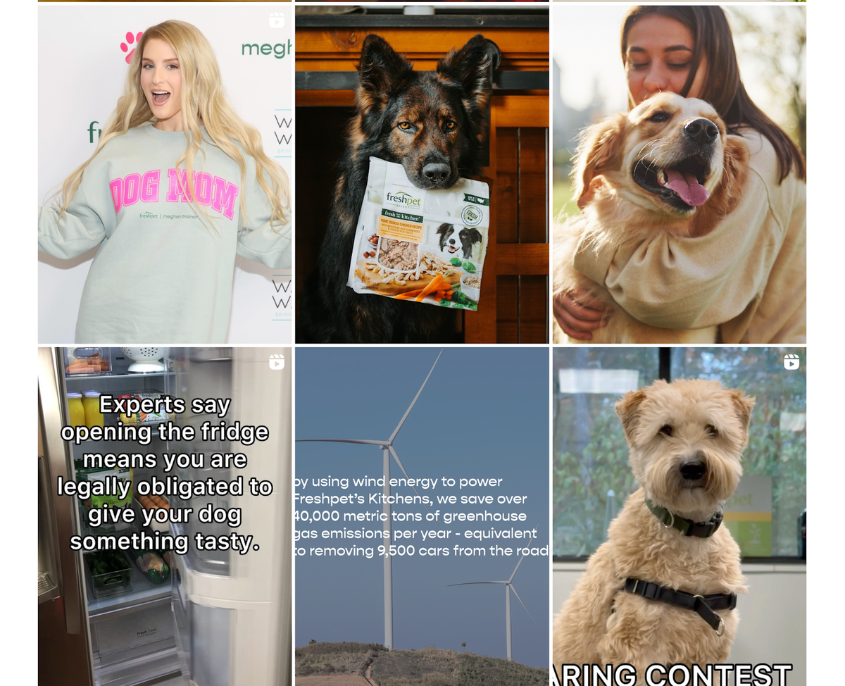 27. Freshpet - hero screenshot