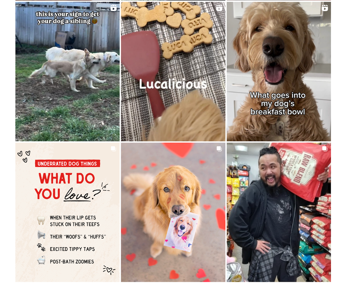 24. Stella & Chewy's - hero screenshot