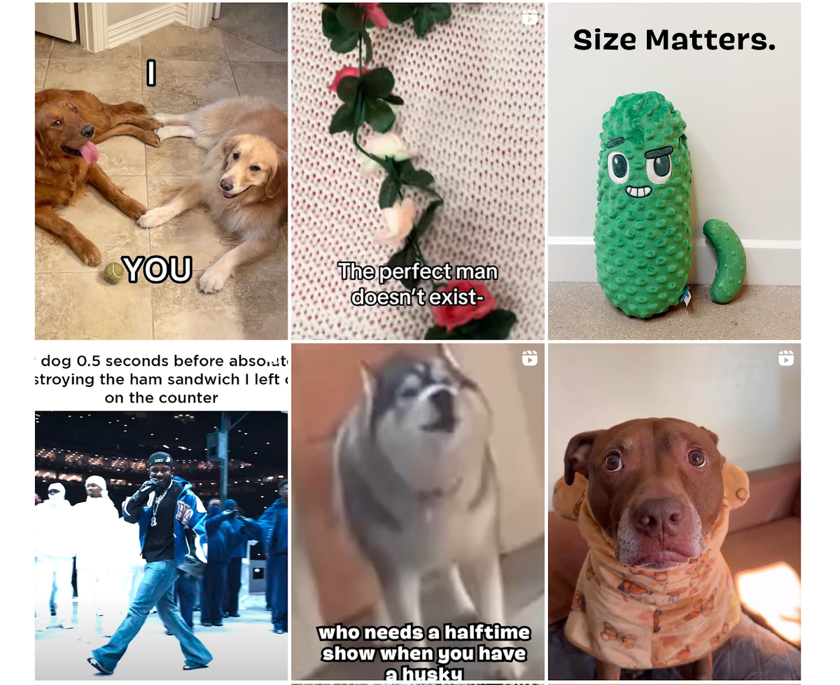 25. BarkBox - hero screenshot