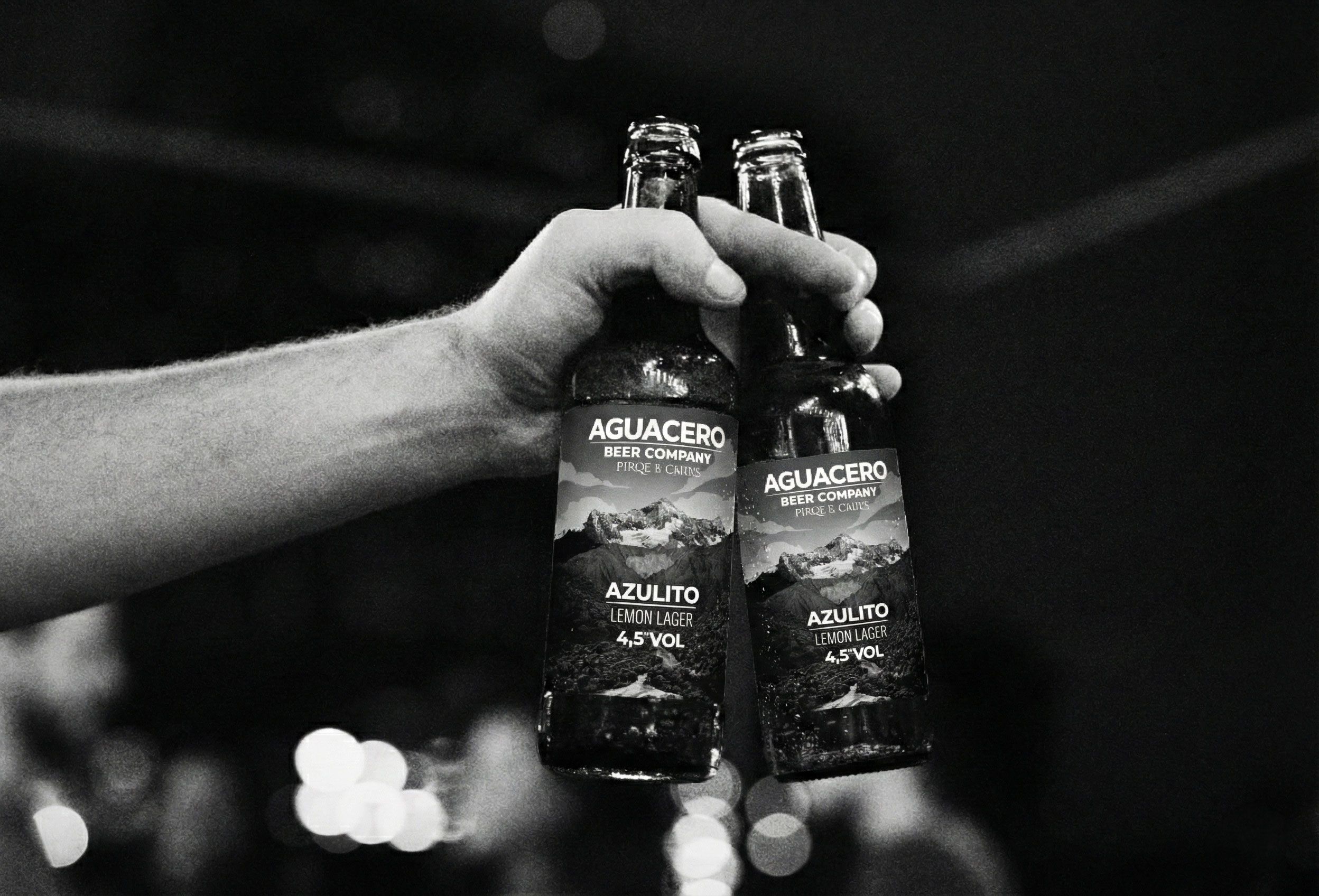 Aguacero Beer Company