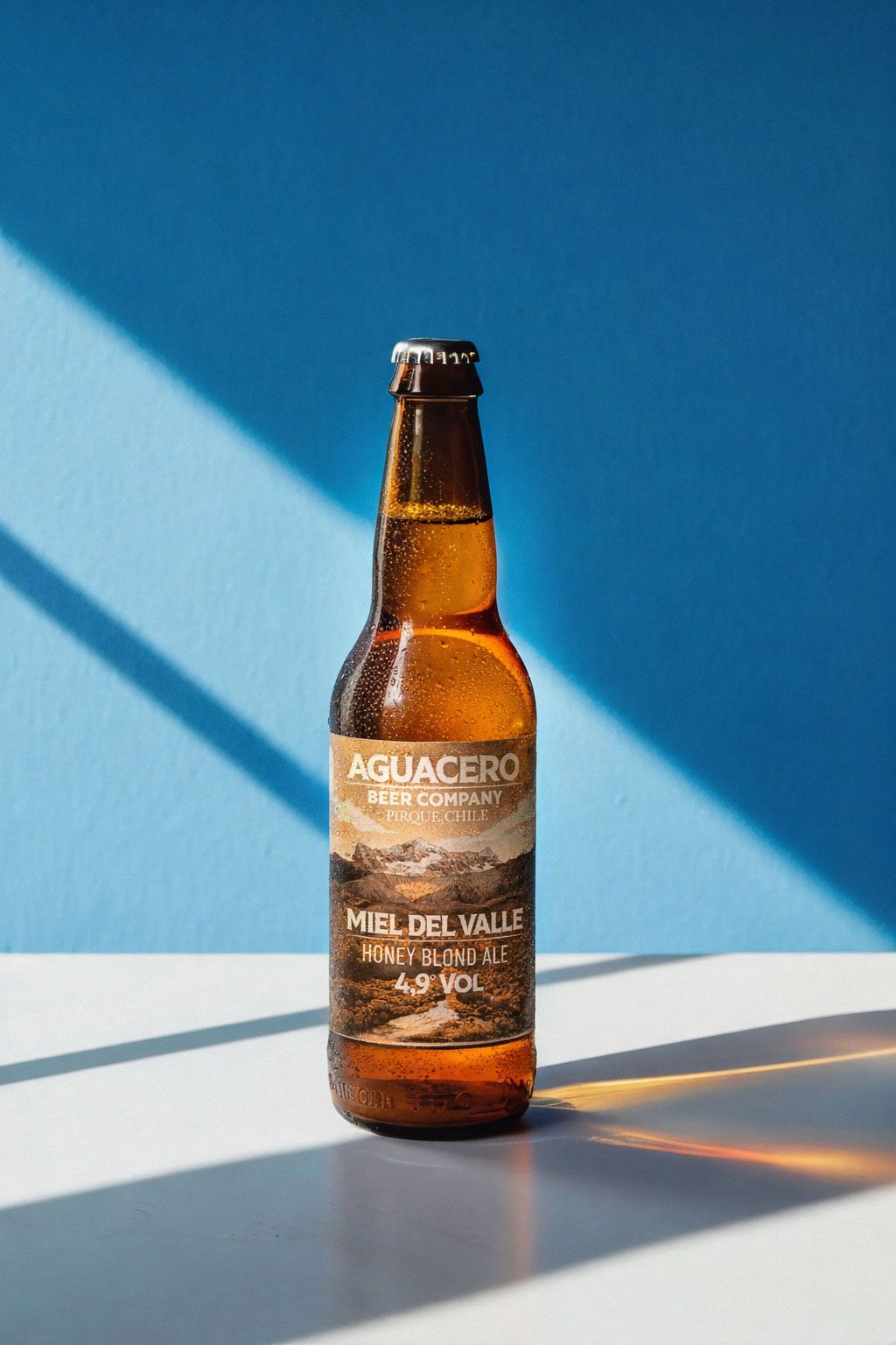 Aguacero Beer Company