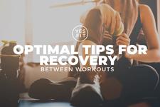 Optimal Tips for Recovery Between Workouts card image