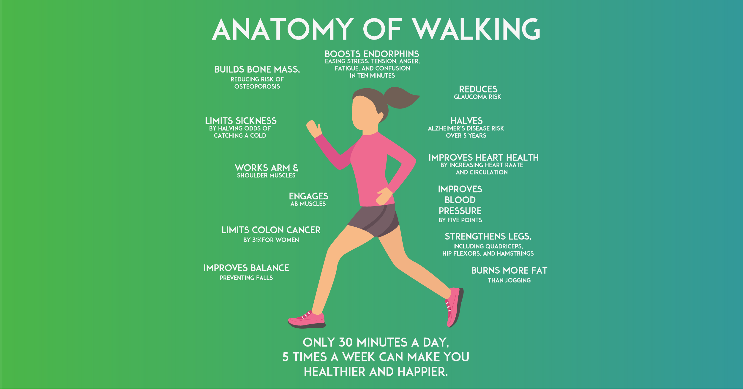 5 Reasons Walking for Weight Loss Works