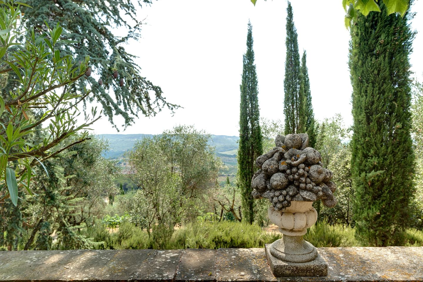 Cypresses above the stone urn