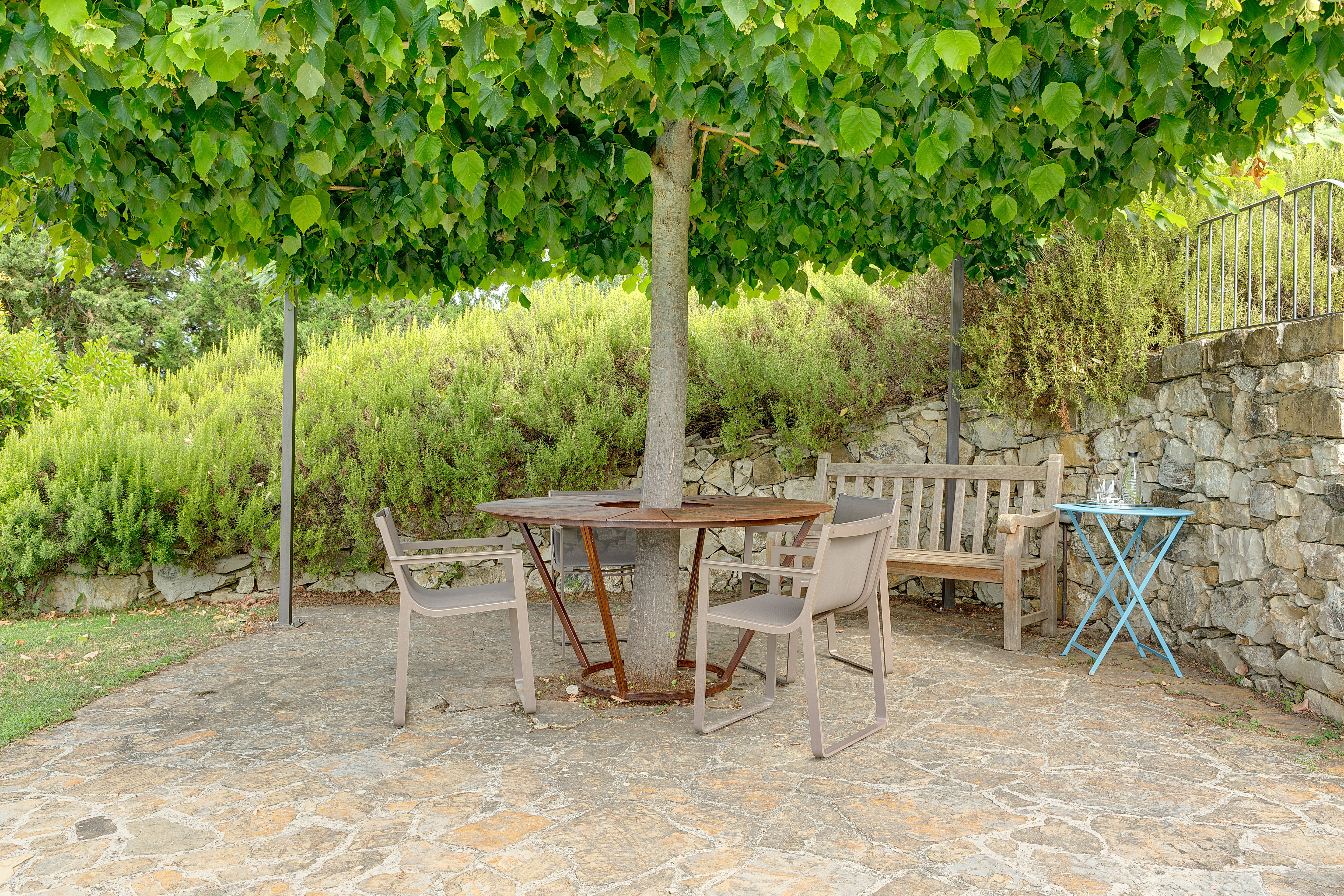 The table and its chairs under the vine