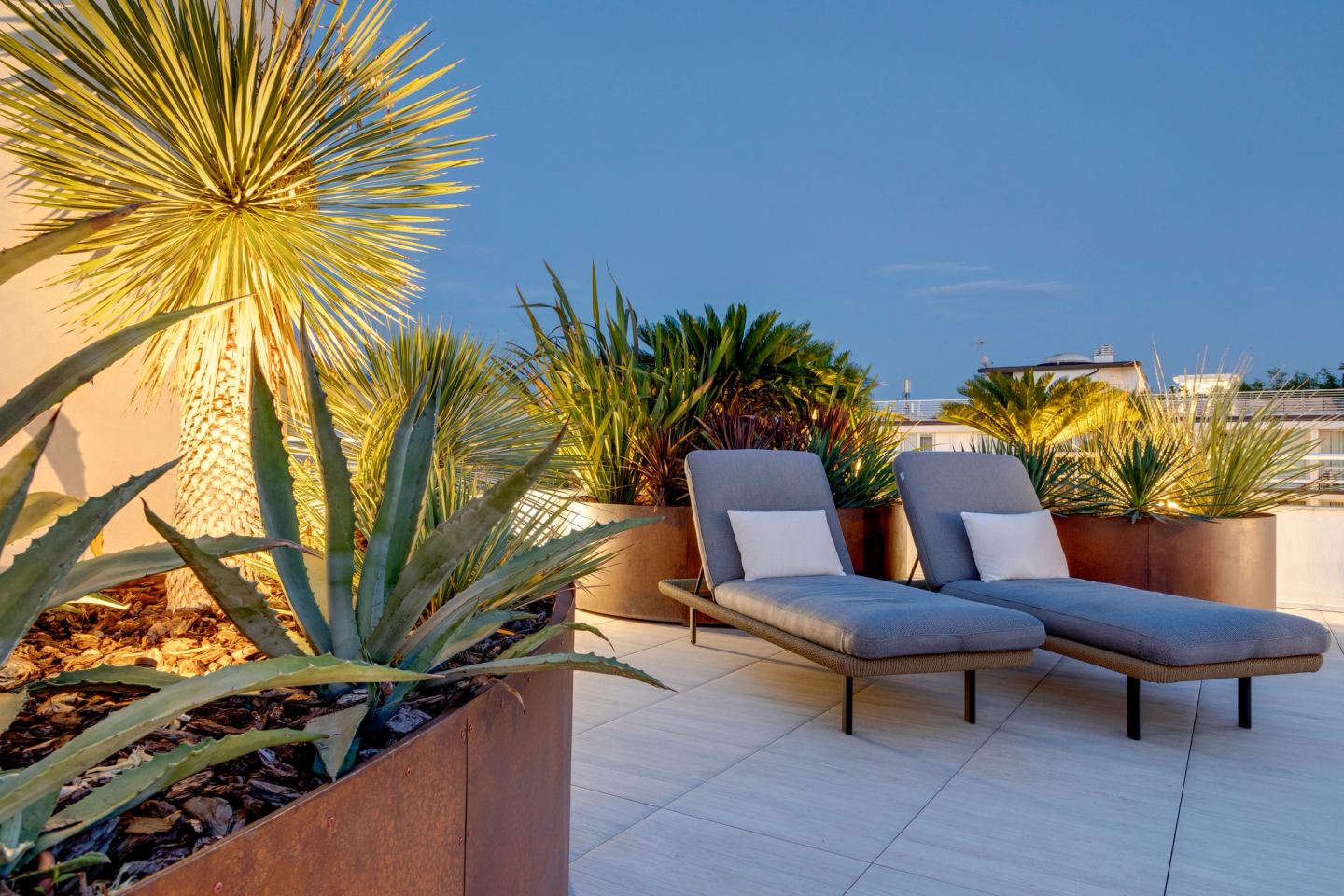 Yucca in primo piano, i lettini oltre, al tramonto