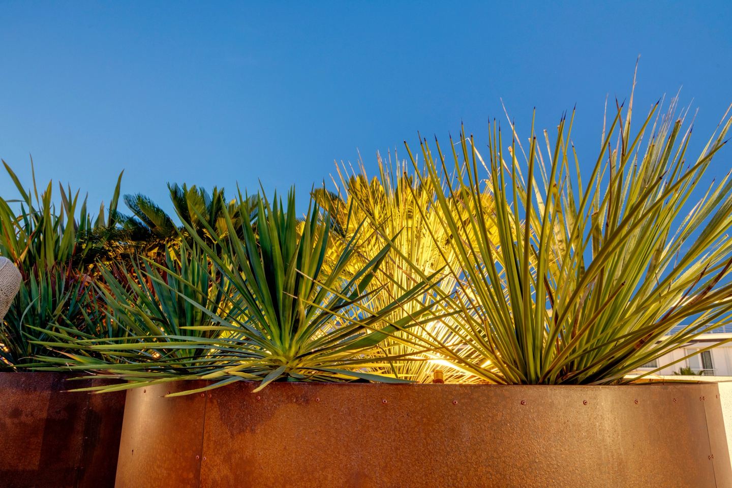 Planting lit from within the corten at dusk