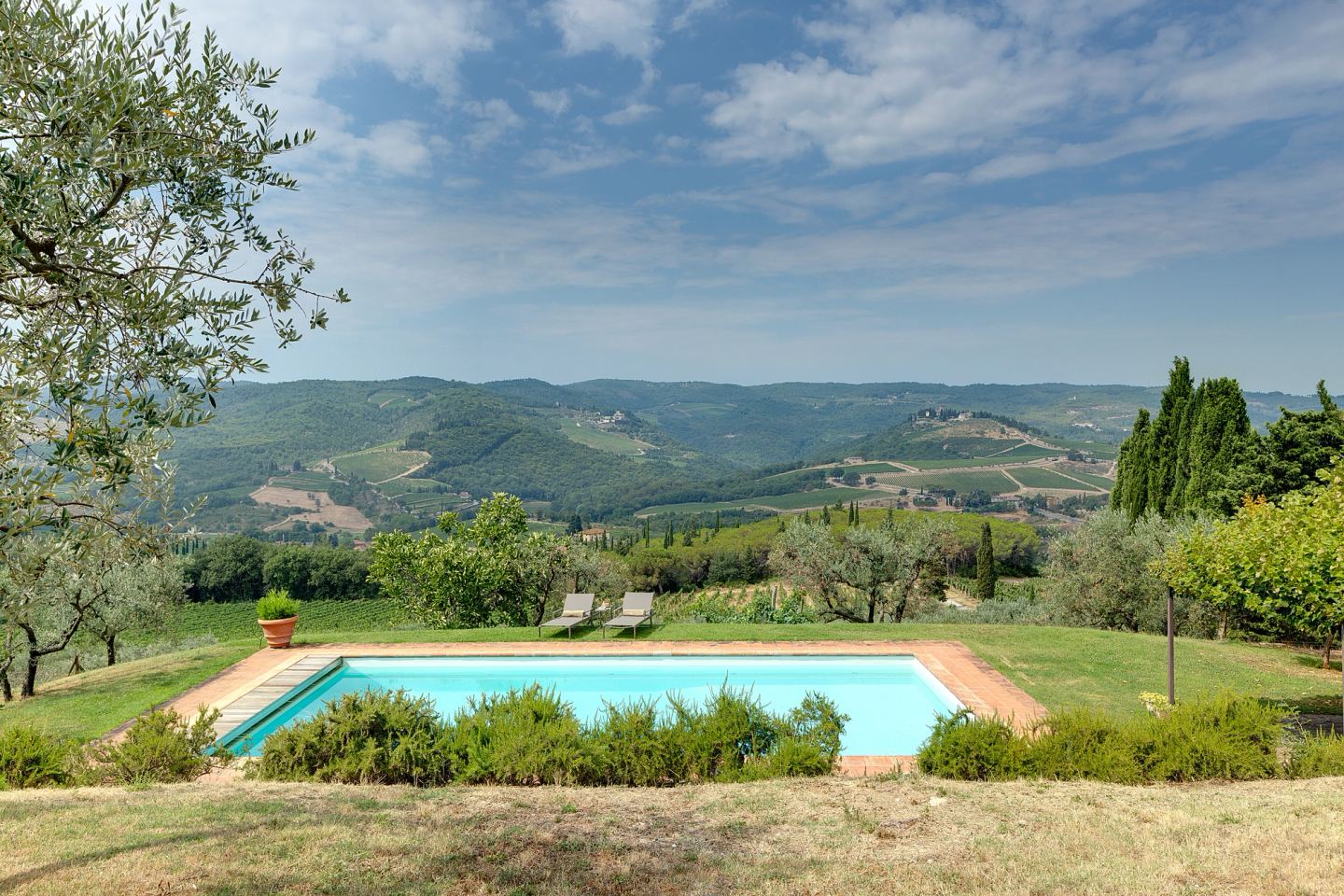 The pool from the pergola, a tree in the way