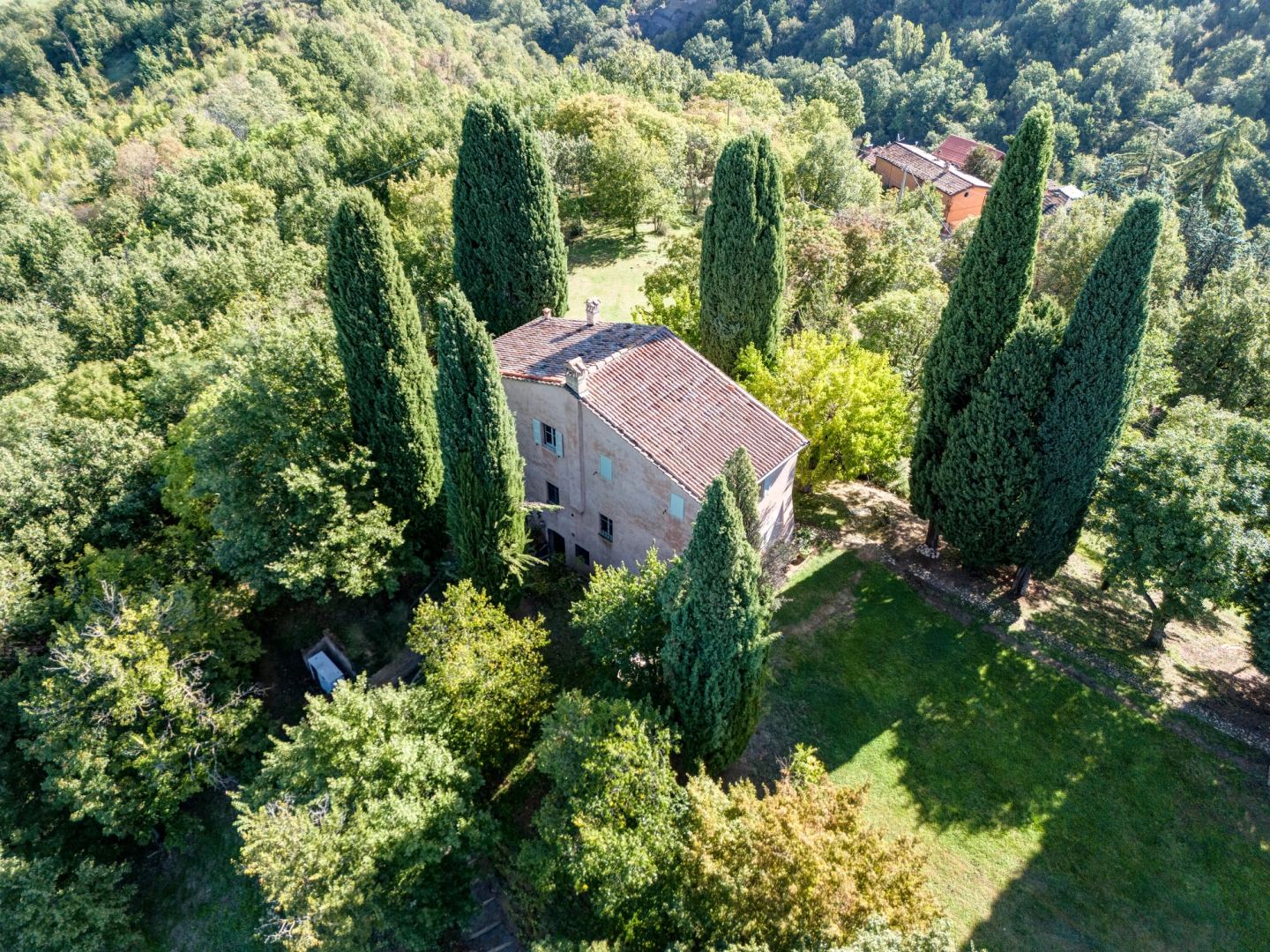 Dall'alto, il tetto e il prato tra i cipressi