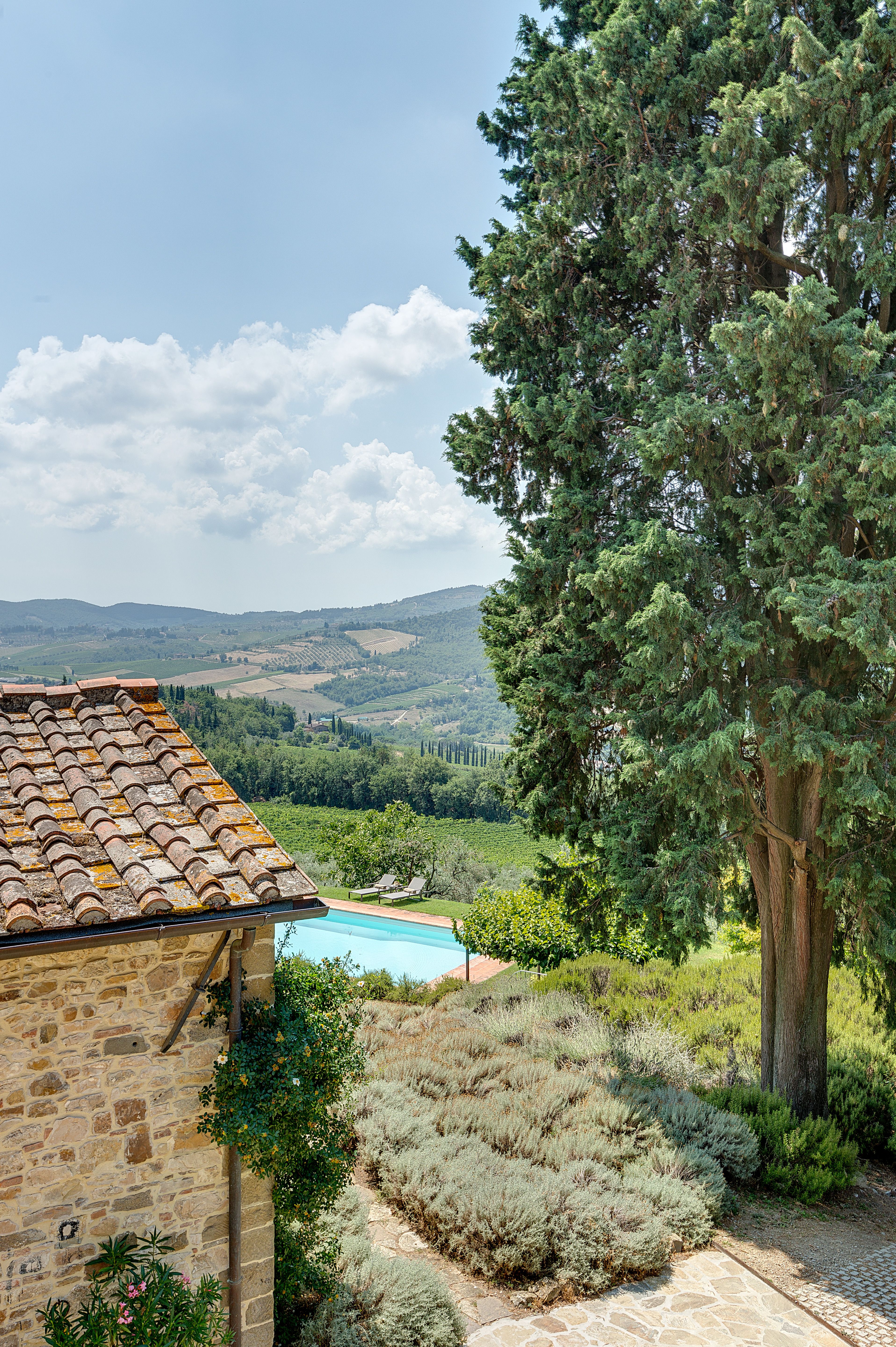 I coppi e un cipresso sopra la piscina