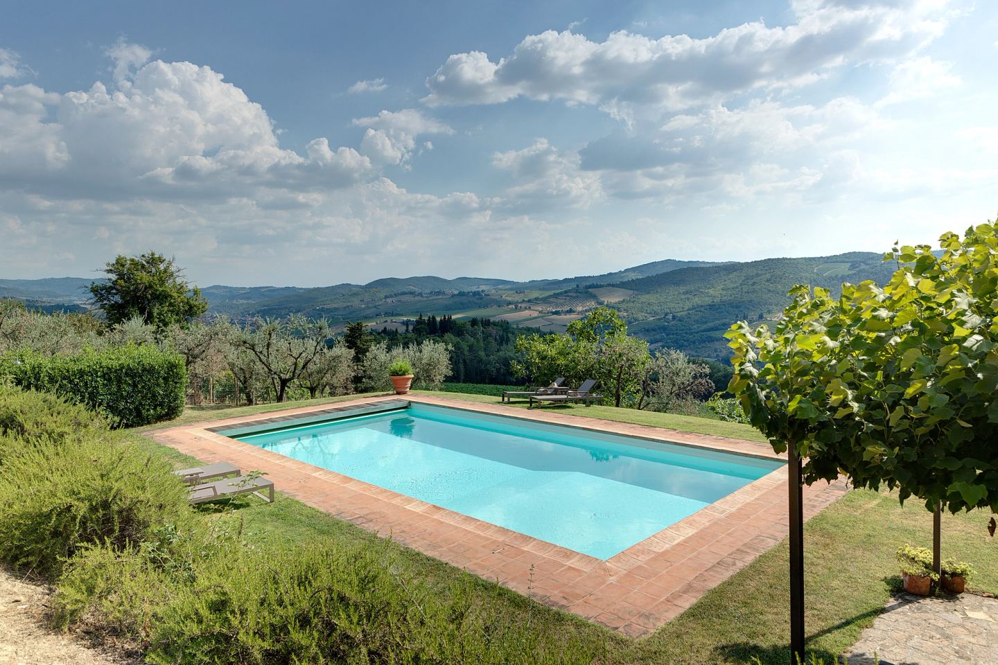 The pool with the olives behind