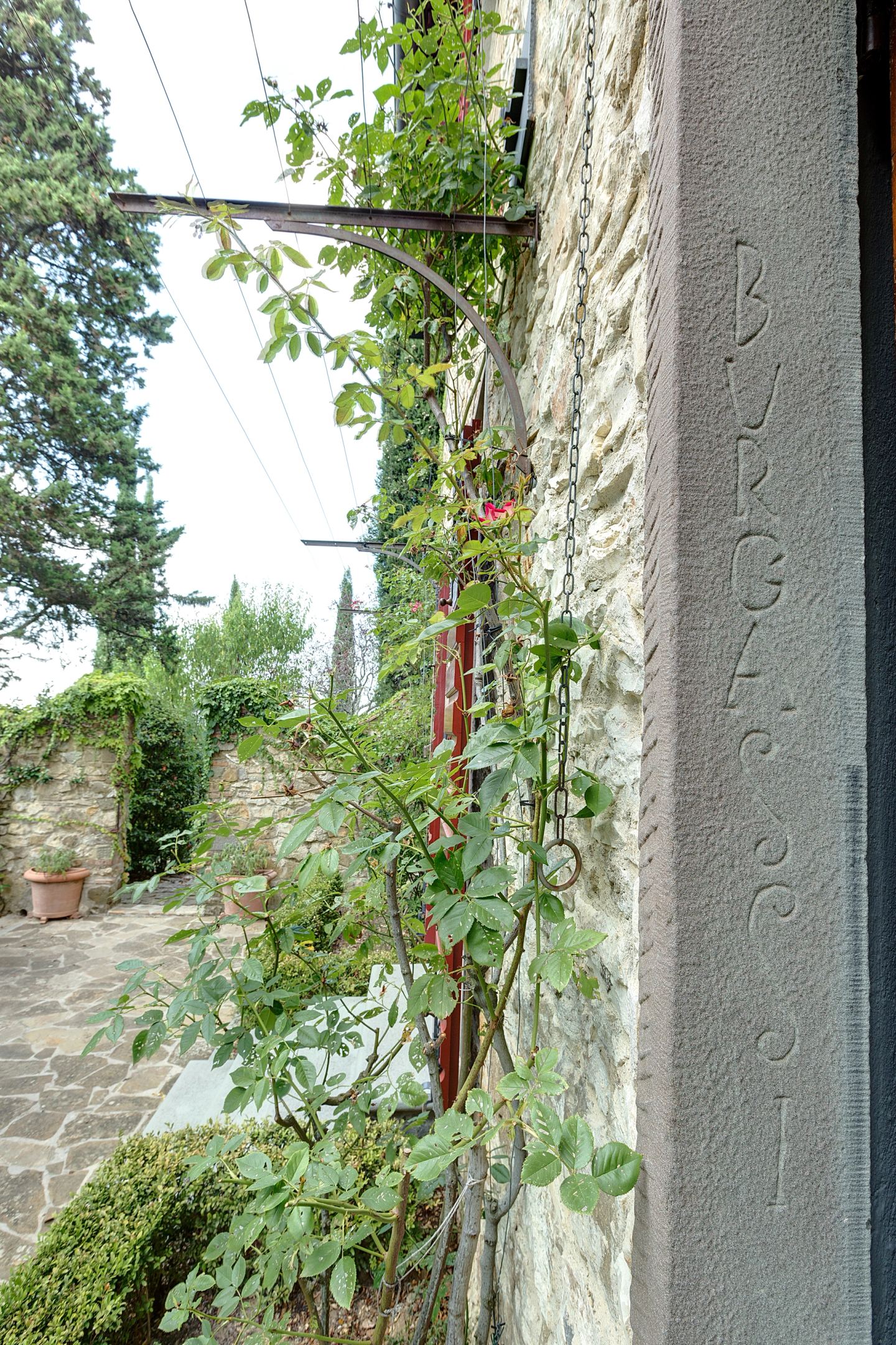 Intonaco, edera e l'angolo del muro