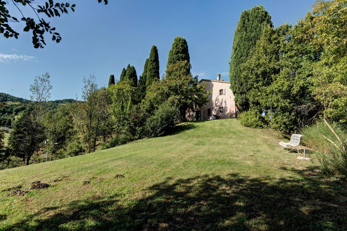 Il prato che scende dalla casa verso il bosco