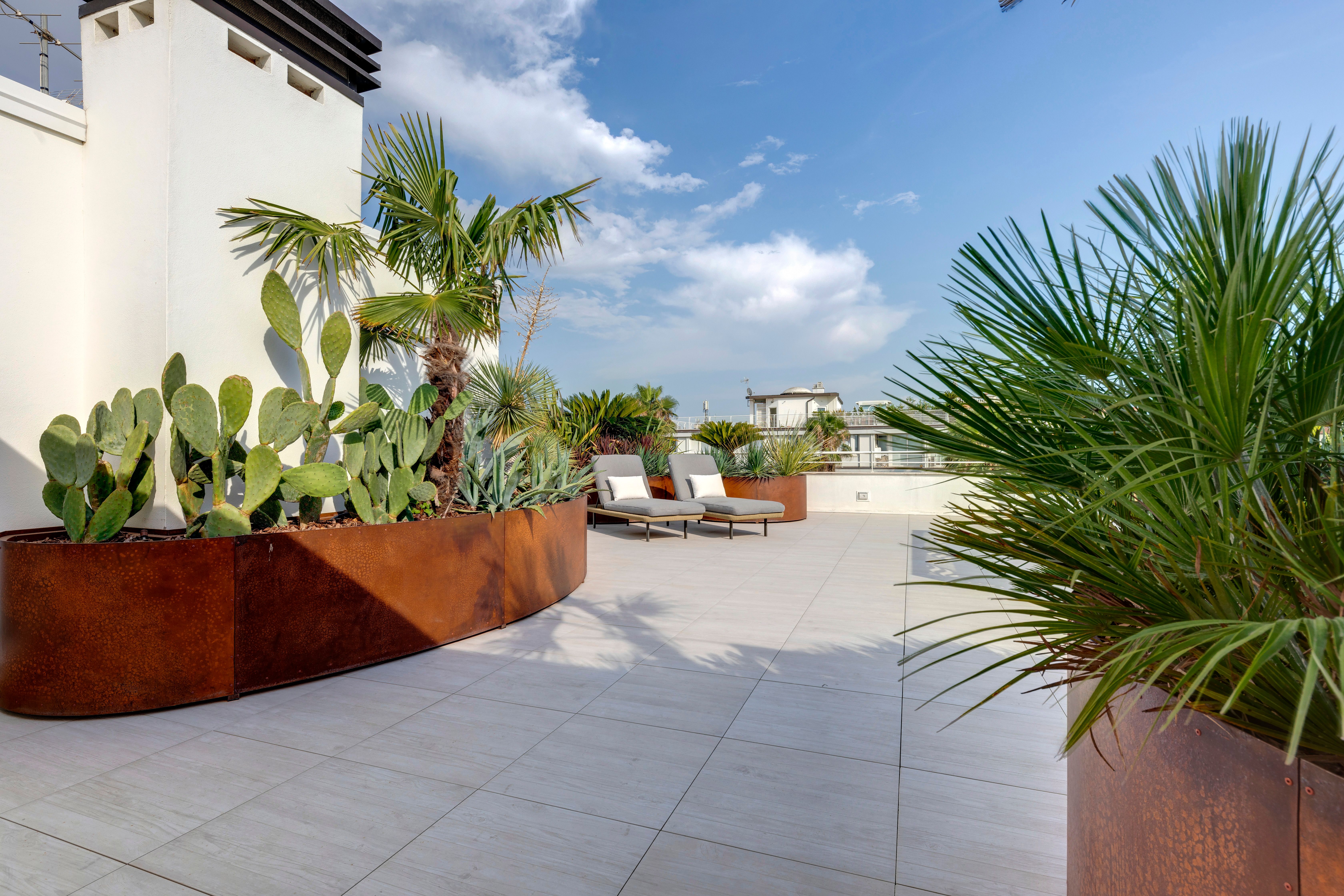 Fichi d'India e cactus in una fioriera lunga in corten