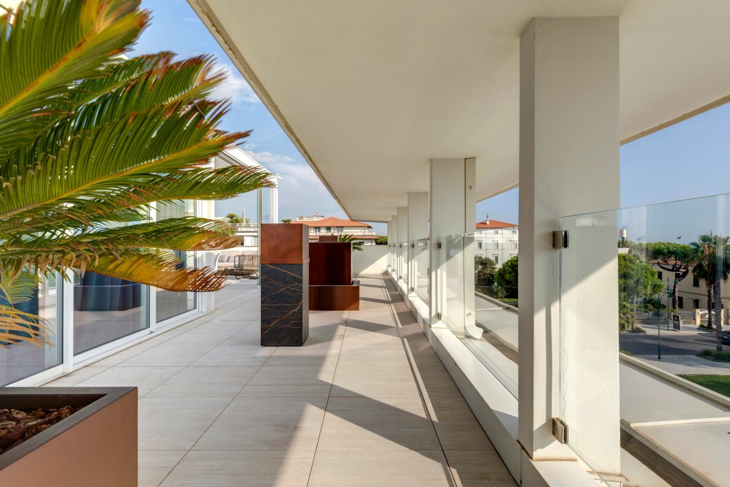 Cycad and glass balustrade under the loggia roof