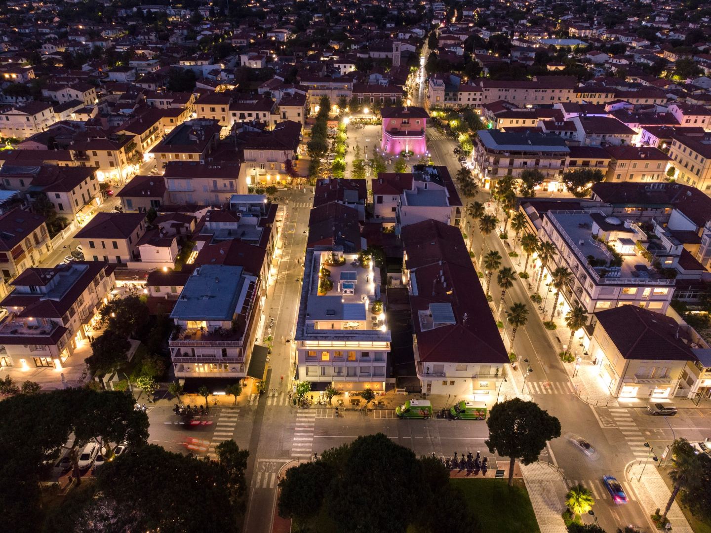 The town under the pines after dark
