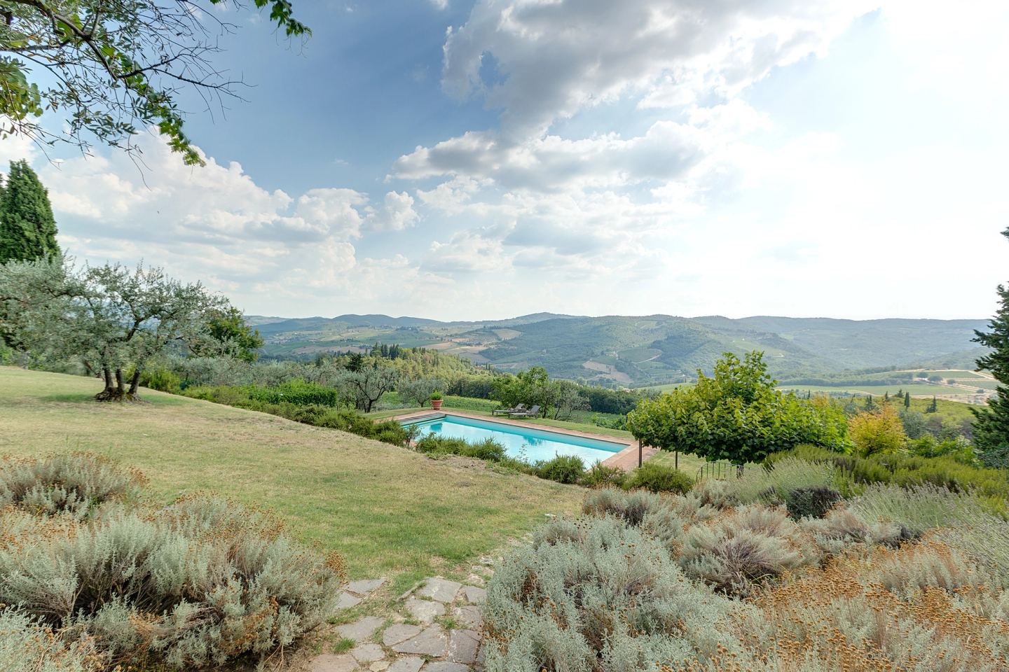 The pool small in the landscape