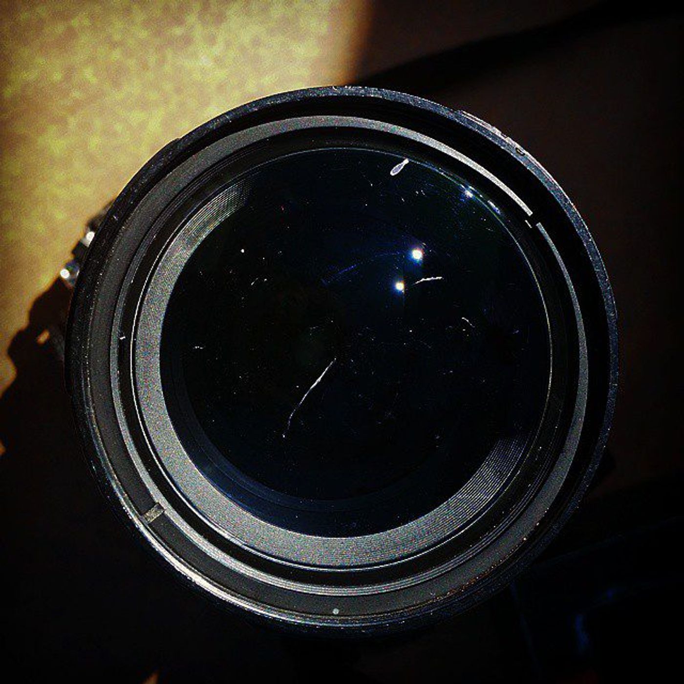 #Dailycircle — photograph 152