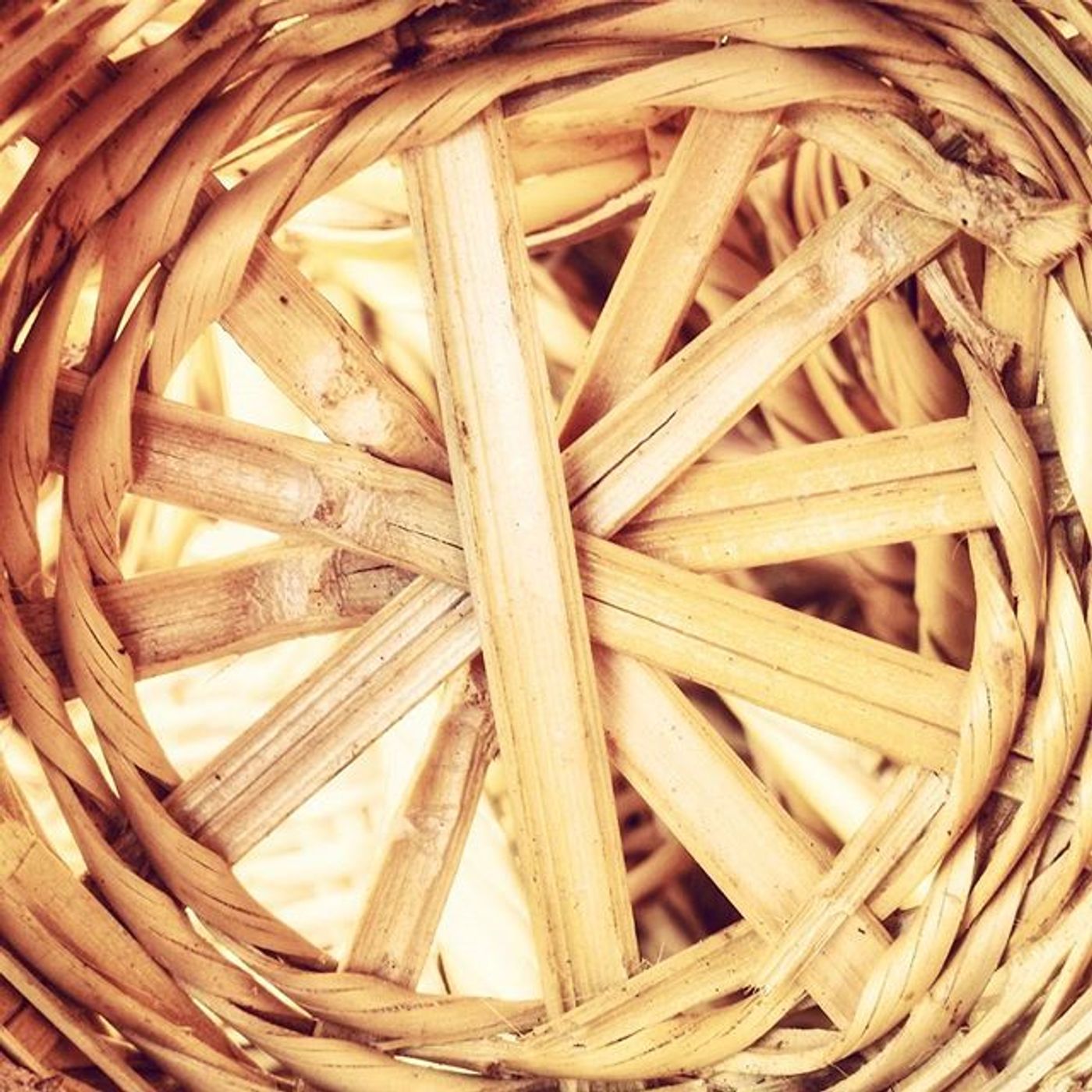 #Dailycircle — photograph 13
