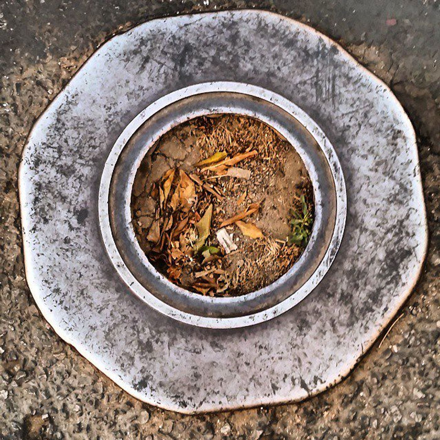 #Dailycircle — photograph 108