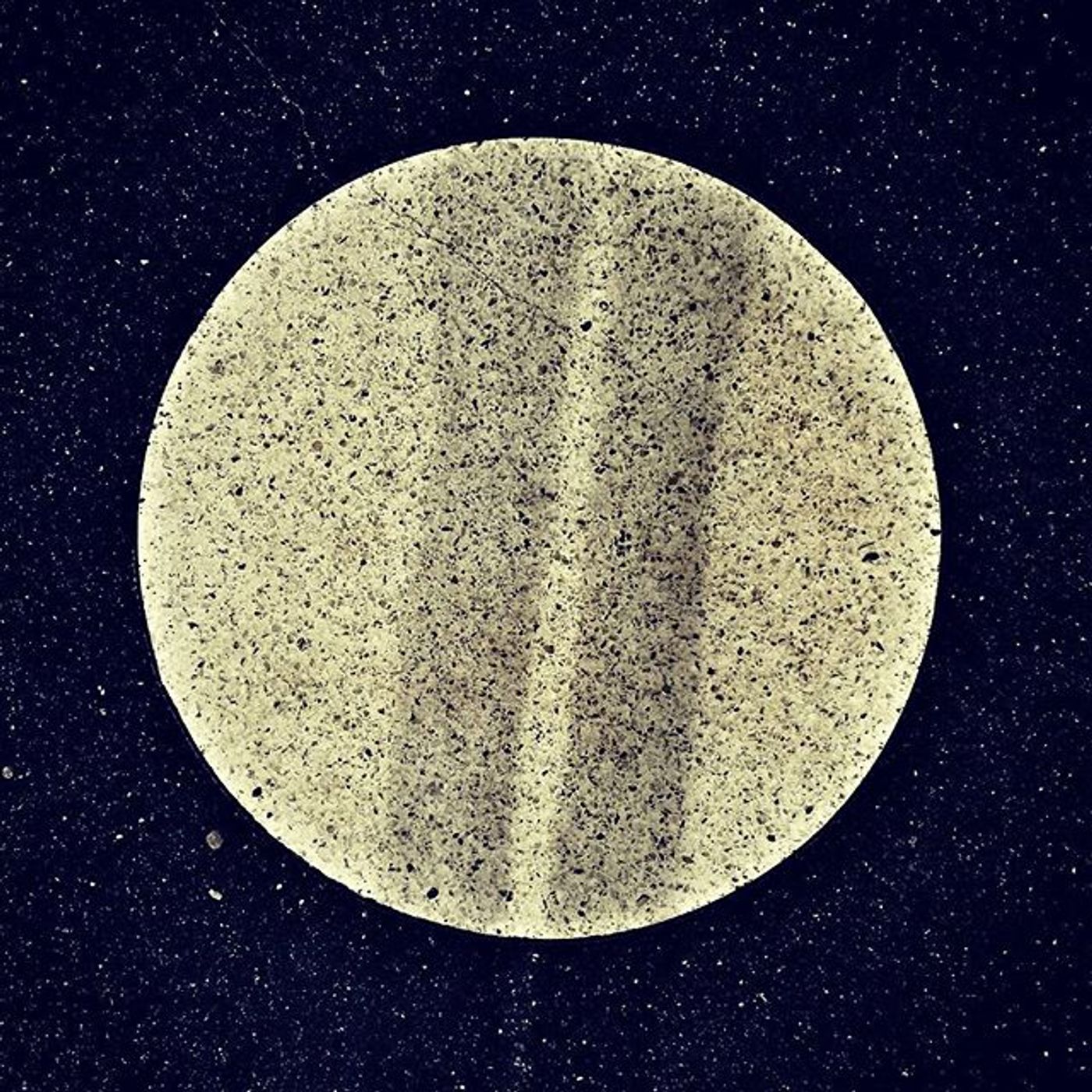 #Dailycircle — photograph 9