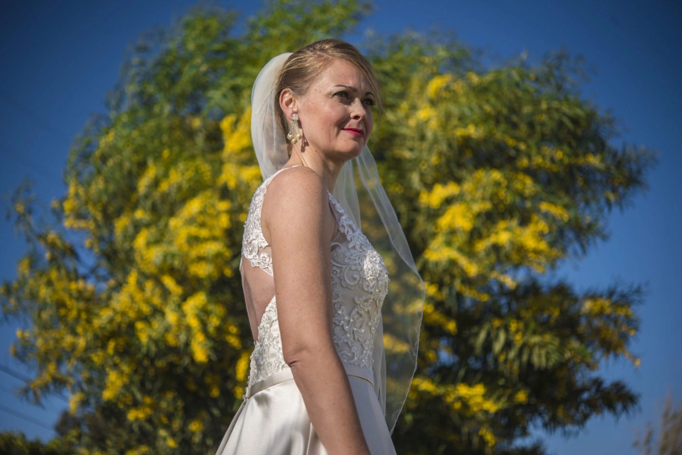 Bride in a lace gown and veil in profile against a tree of yellow mimosa blossoms