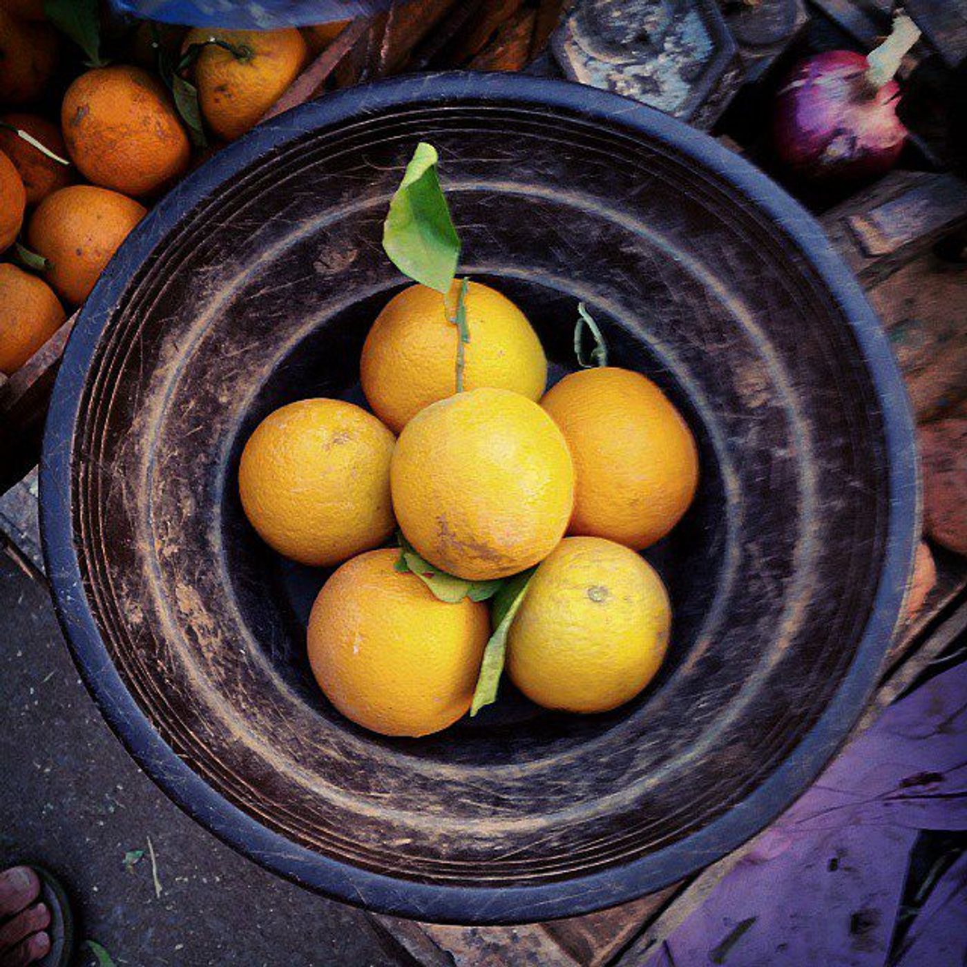 #Dailycircle — photograph 113