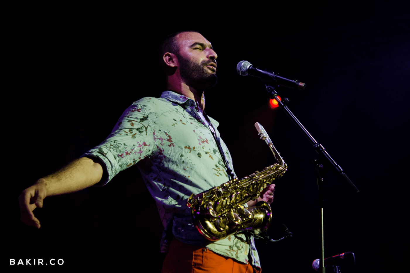 Jazz au Chellah — photograph 13