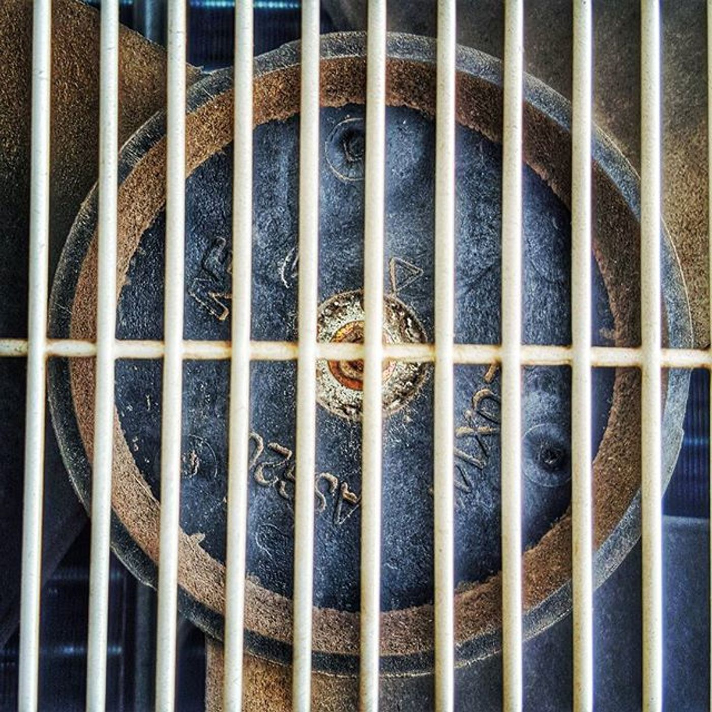 #Dailycircle — photograph 48