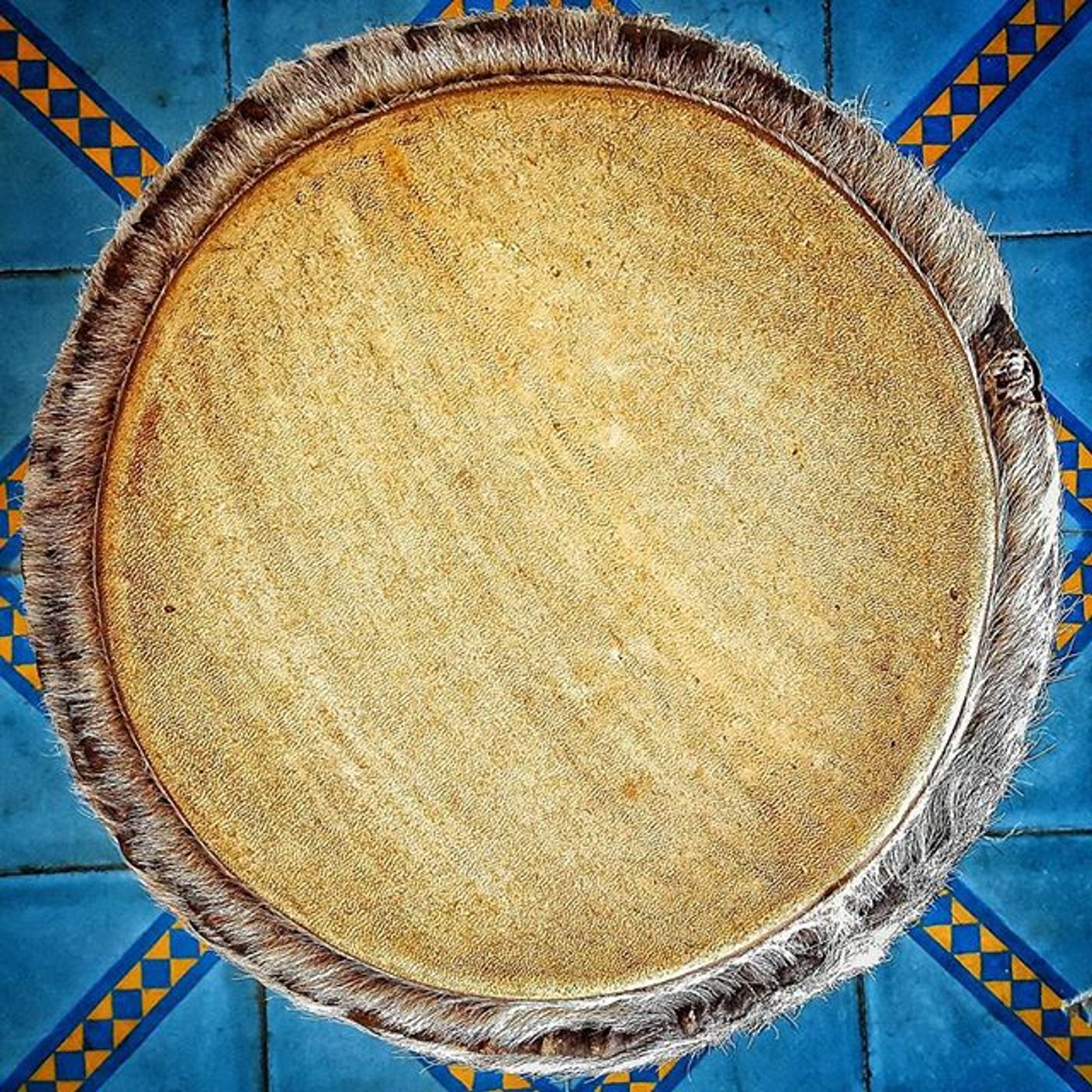 #Dailycircle — photograph 41