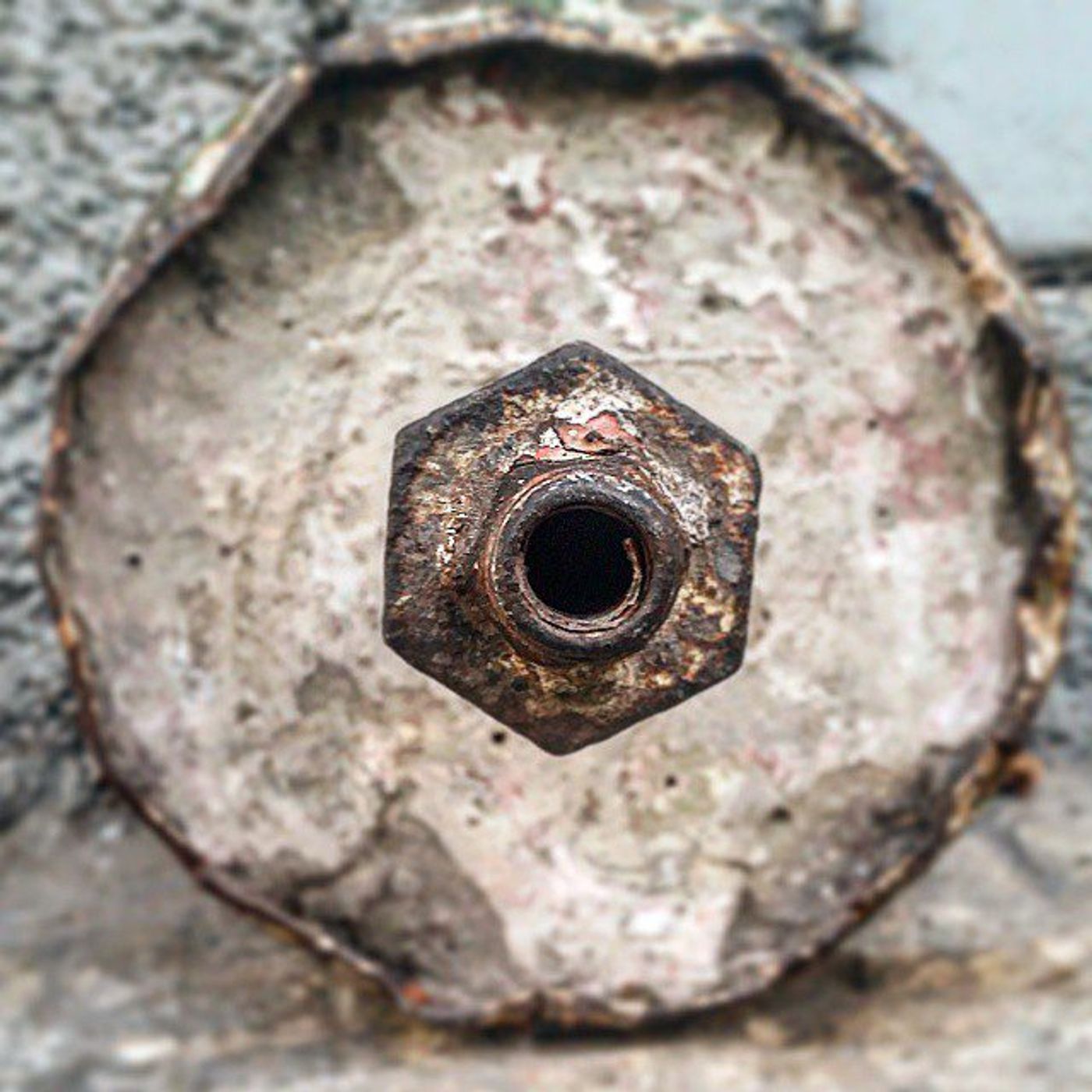 #Dailycircle — photograph 146