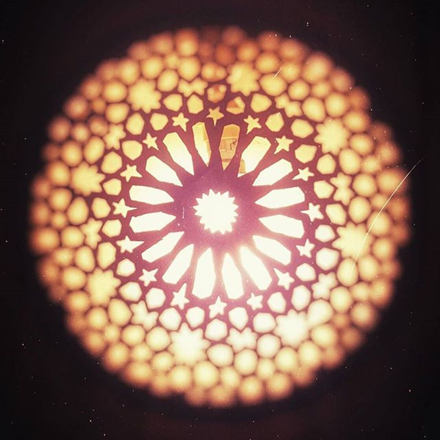 #Dailycircle — photograph 35