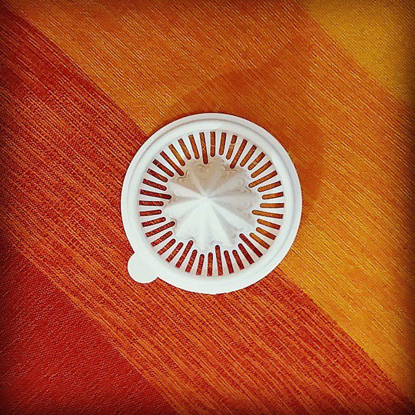 #Dailycircle — photograph 121