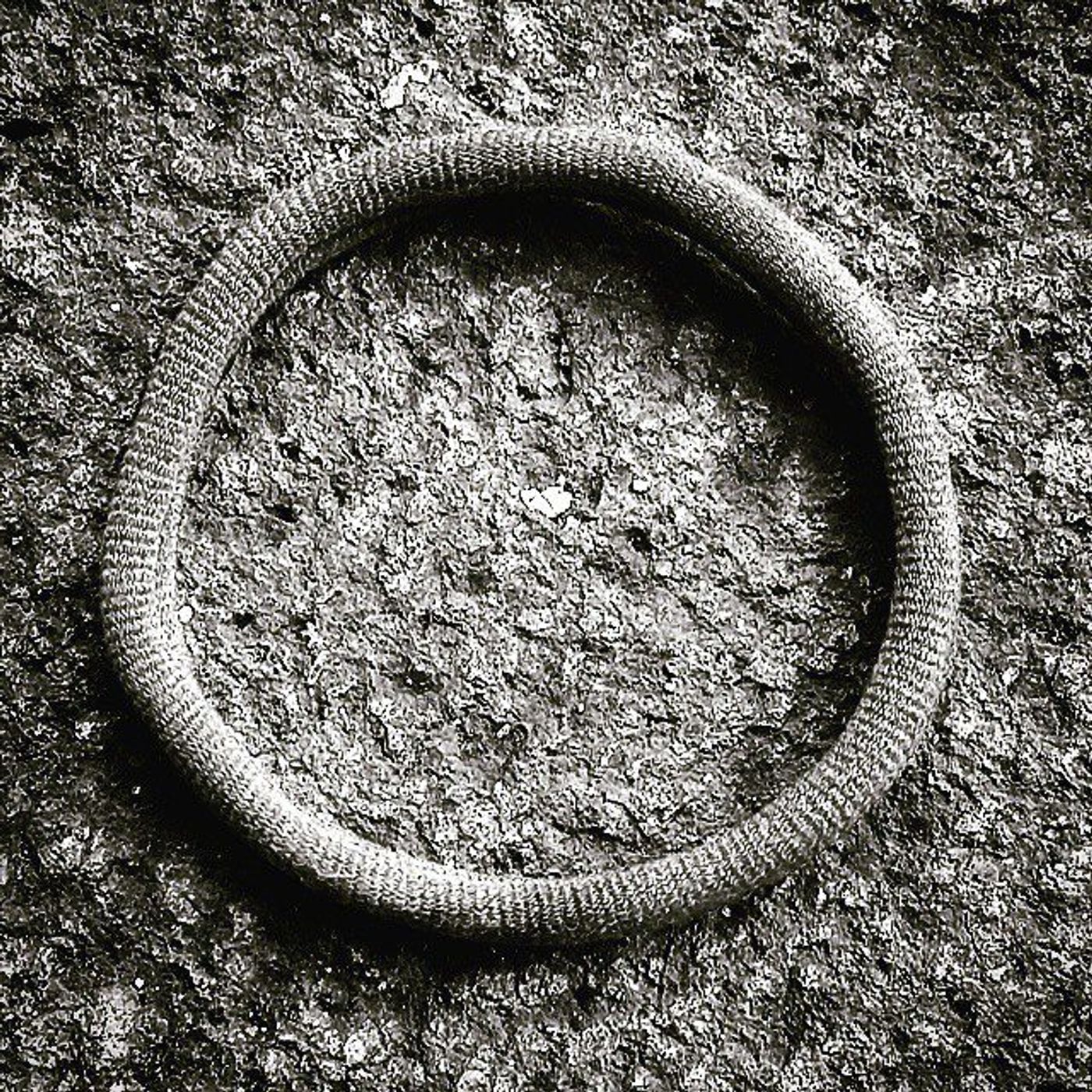 #Dailycircle — photograph 133