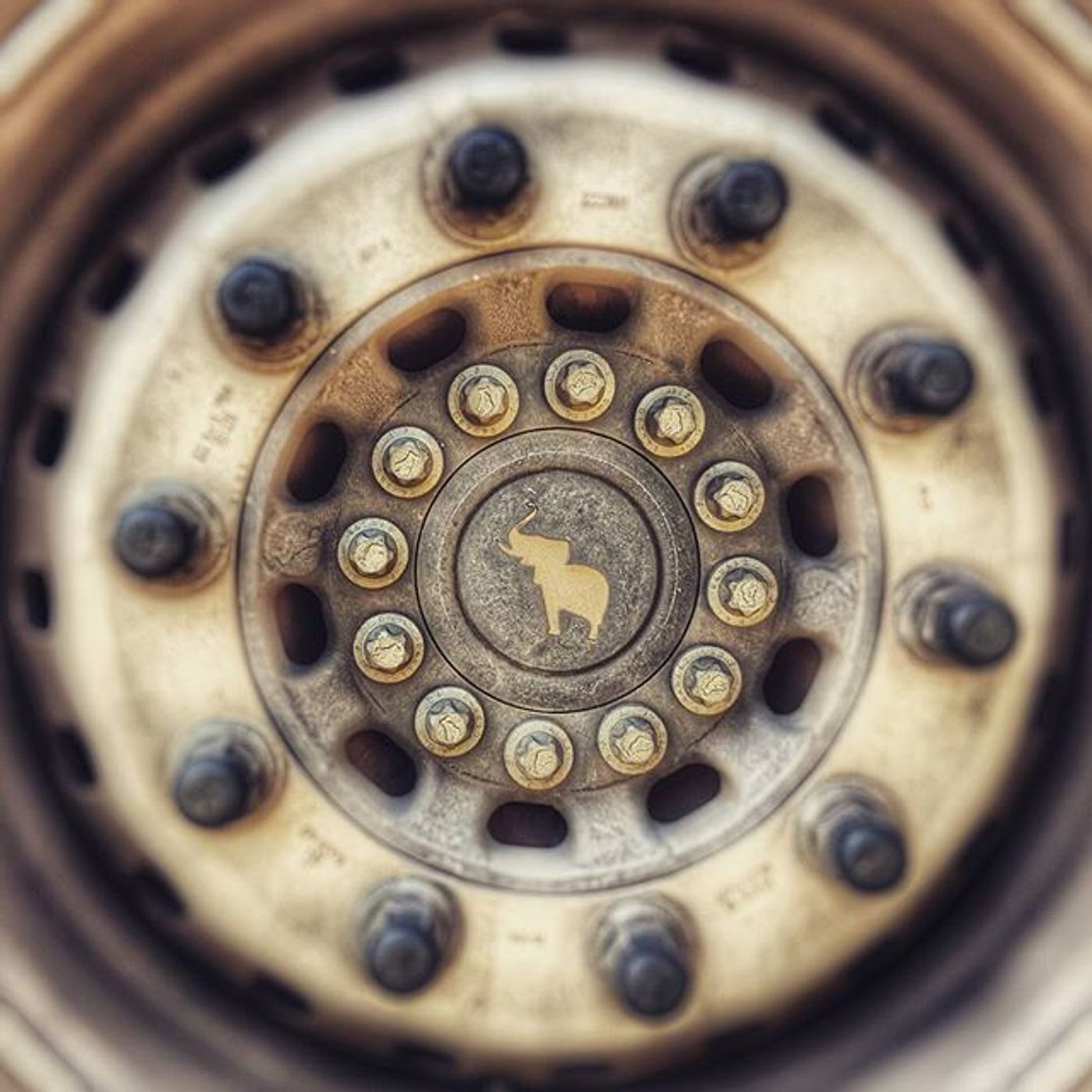 #Dailycircle — photograph 50