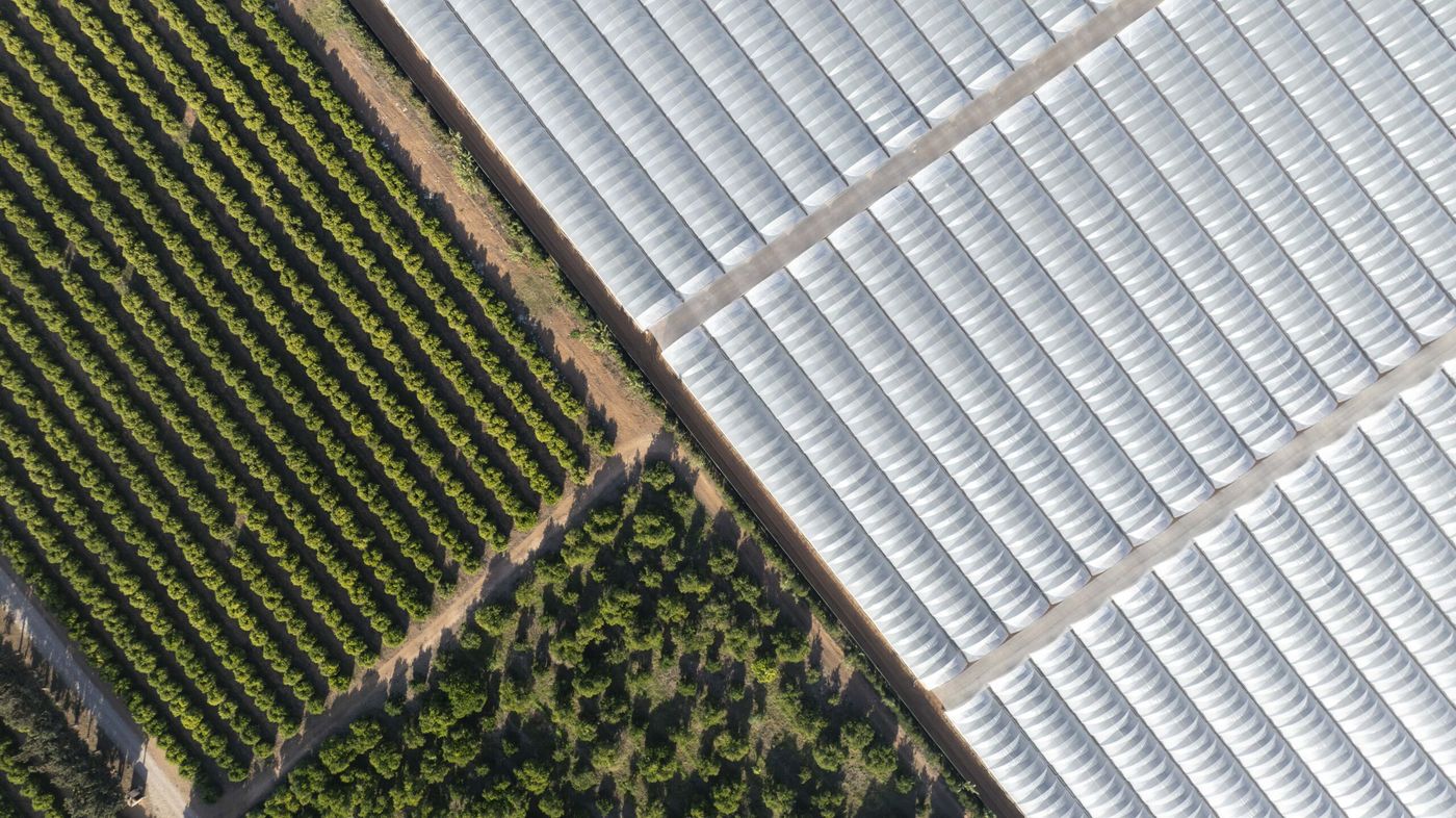 Agrovision — photograph 1